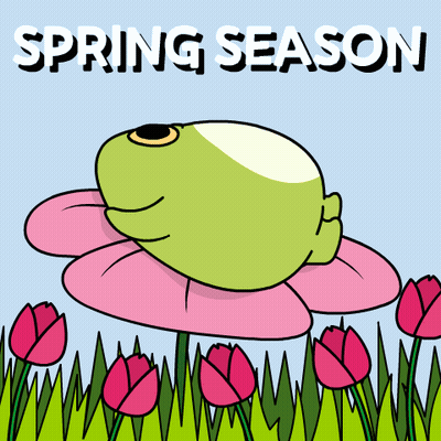 Frog On Pink Flower Spring Season GIF