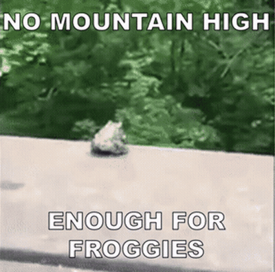 Frog On Sidewalk No Mountain High Enough For Froggies GIF