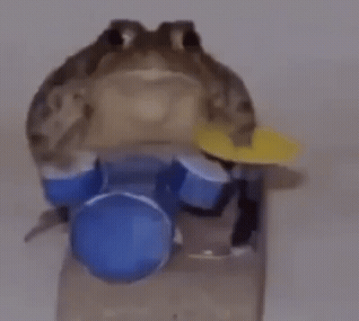 Frog Playing Drums With Stick In Mouth GIF
