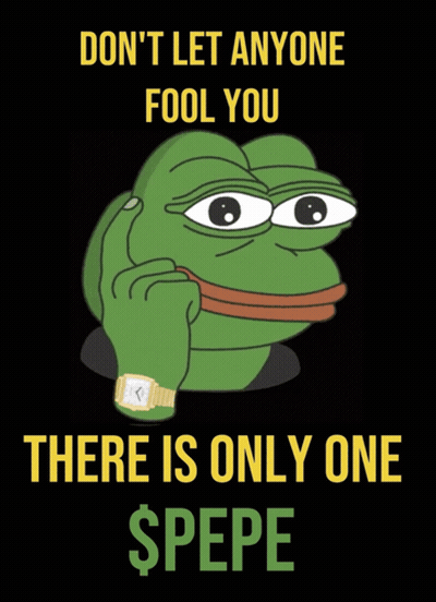 Frog Poster Don't Let Anyone Fool You There Is Only One $ Pepe GIF