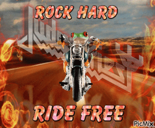 Frog Riding Motorcycle Rock Hard Ride Free GIF