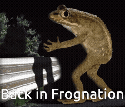 Frog Saying Back In Frognation GIF