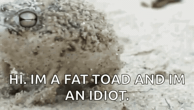 Frog Saying Hi Im Fat Toad Im Idiot GIF