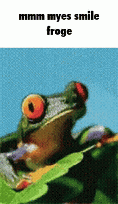 Frog Saying Mmm Myes Smile Froge GIF