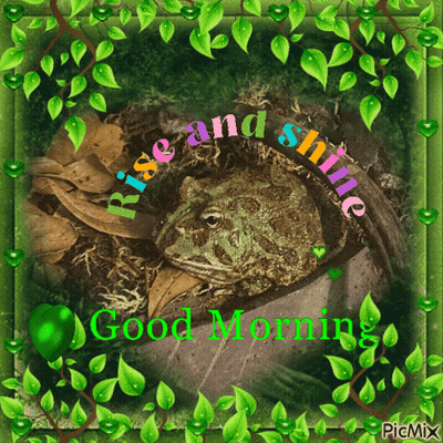 Frog Saying Rise And Shine GIF