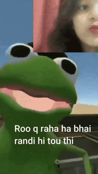 Frog Saying Roo Q Raha Ha Bhai Randi Hi Tou Thi GIF