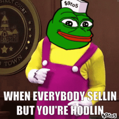 Frog Saying When Everybody Selling But You're Hodlin GIF