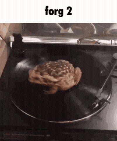 Frog Sitting On Record Player Saying Forg 2 GIF