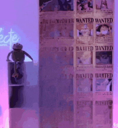 Frog Sitting On Shelf In Front Of Wanted Posters GIF