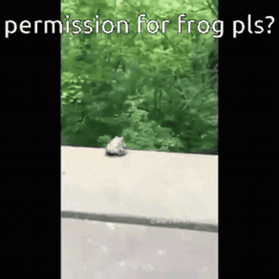 Frog Sitting On Side Of Road GIF