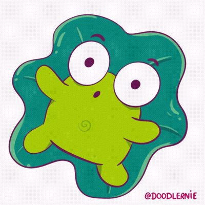 Frog Speech Bubble Saying Take A Break GIF