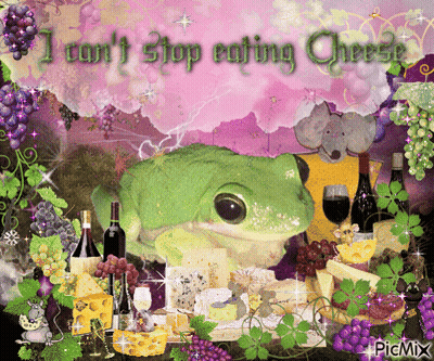 Frog Surrounded By Cheese And Grapes Saying I Can't Stop Eating Cheese GIF