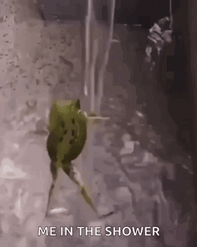 Frog Walking Through Shower Saying Me In The Shower GIF