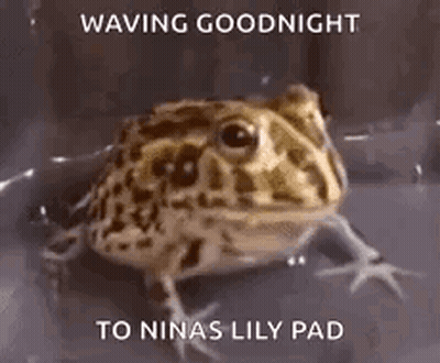 Frog Waving Goodnight To Nina's Lily Pad GIF