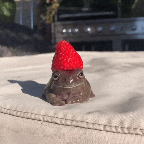 Frog Wearing Strawberry Hat On Cushion GIF