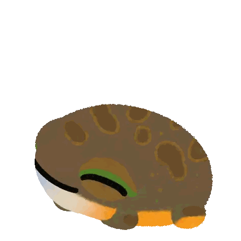 Frog With Big Red Eyes Good Morning Sticker