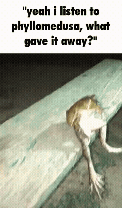 Frog With Frog House Assemble Text GIF