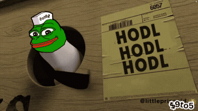 Frog With Hat Saying HODL GIF