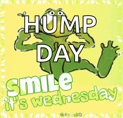 Frog With Hump Day Smile It's Wednesday GIF