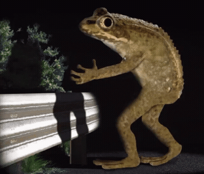Frog With Long Legs Standing Next To Railing In Dark GIF