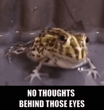 Frog With No Thoughts Behind Those Eyes GIF