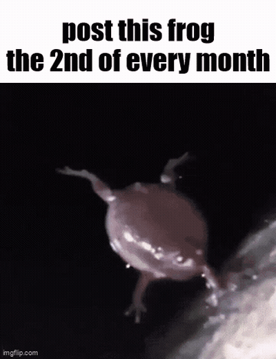 Frog With Post This Frog Text GIF