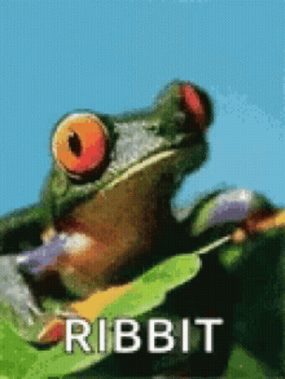 Frog With Red Eyes Sitting On Leaf Saying Ribbit GIF