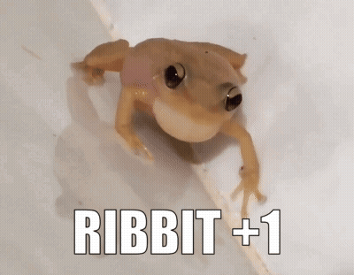 Frog With Ribbit +1 GIF