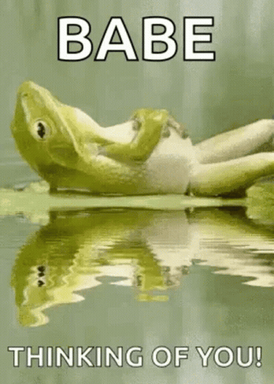Frog With Tears Coming Out Of Eyes GIF