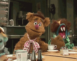 Frozzie Bear Face Palm GIF
