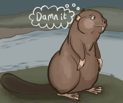 Frustrated Beaver Cussing Salute GIF
