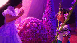 Frustrated Isabela Talking To Mirabel Encanto GIF