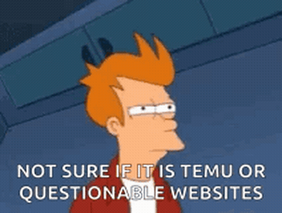Fry from Futurama Questioning Websites