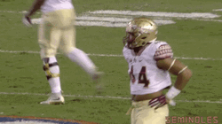 Fsu Crossed Arms Player GIF