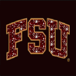 Fsu Shining Letters GIF