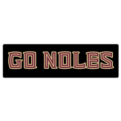 Fsu Team Noles GIF