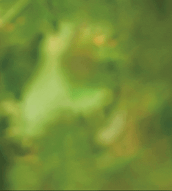 Fugini Tomato Sauces Commercial GIF