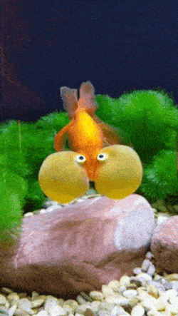 Full Fish GIF