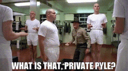 Full Metal Jacket Private Pyle Attention Stance GIF