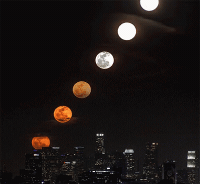 Full Moon Above City Skyline GIF