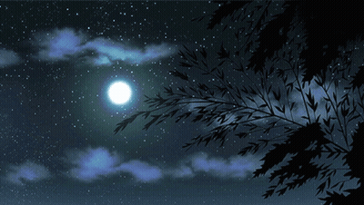 Full Moon Above Tree Branch GIF