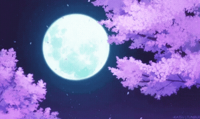 Full Moon Among Purple Cherry Blossom Trees GIF