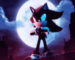 Full Moon And Shadow The Hedgehog GIF
