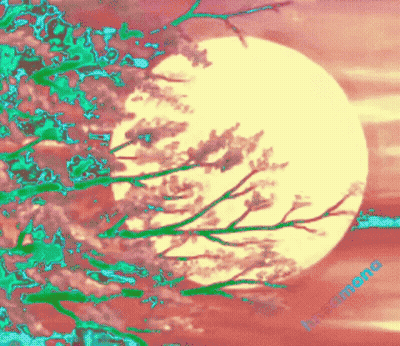 Full Moon Behind Tree With Flowers GIF