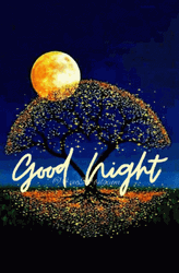 Full Moon Good Night Dobranoc GIF