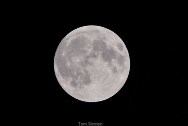 Full Moon Honeymoon Couple GIF