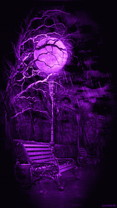 Full Moon In A Park GIF