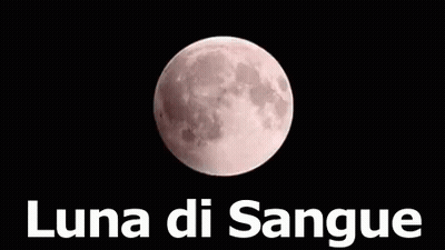 Full Moon Luna Di Sangue GIF