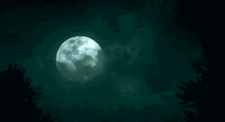 Full Moon On Dark Foggy Night