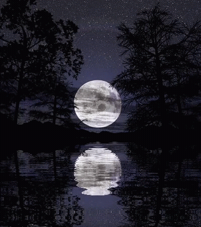 Full Moon Reflected In Water Surrounded By Trees GIF